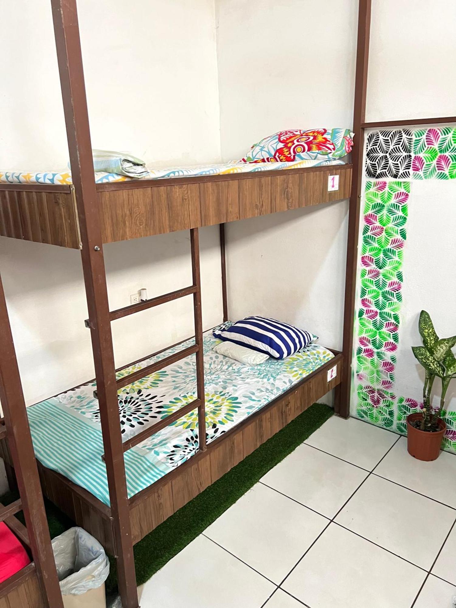 Cheap Hostel كيبوس المظهر الخارجي الصورة