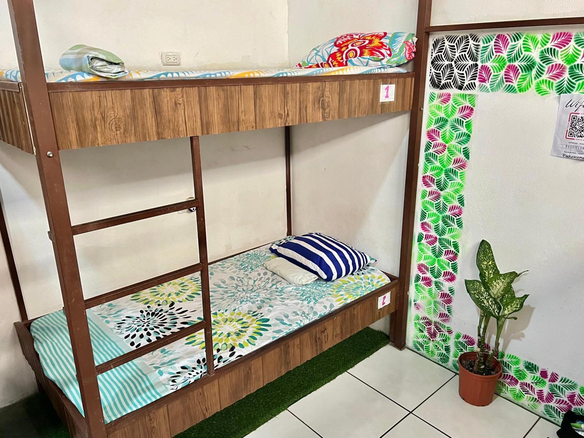 Cheap Hostel كيبوس المظهر الخارجي الصورة