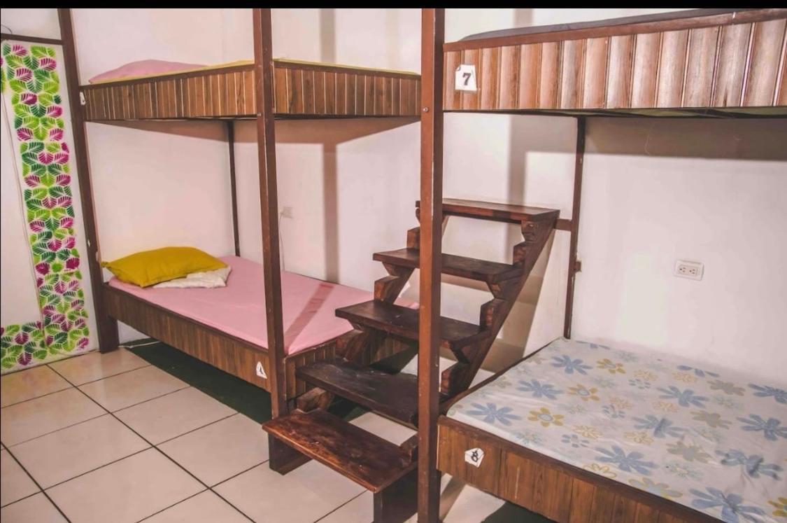 Cheap Hostel كيبوس المظهر الخارجي الصورة