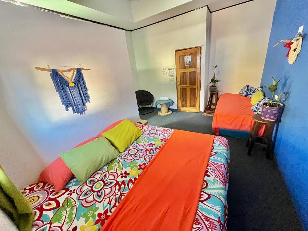 Cheap Hostel كيبوس المظهر الخارجي الصورة