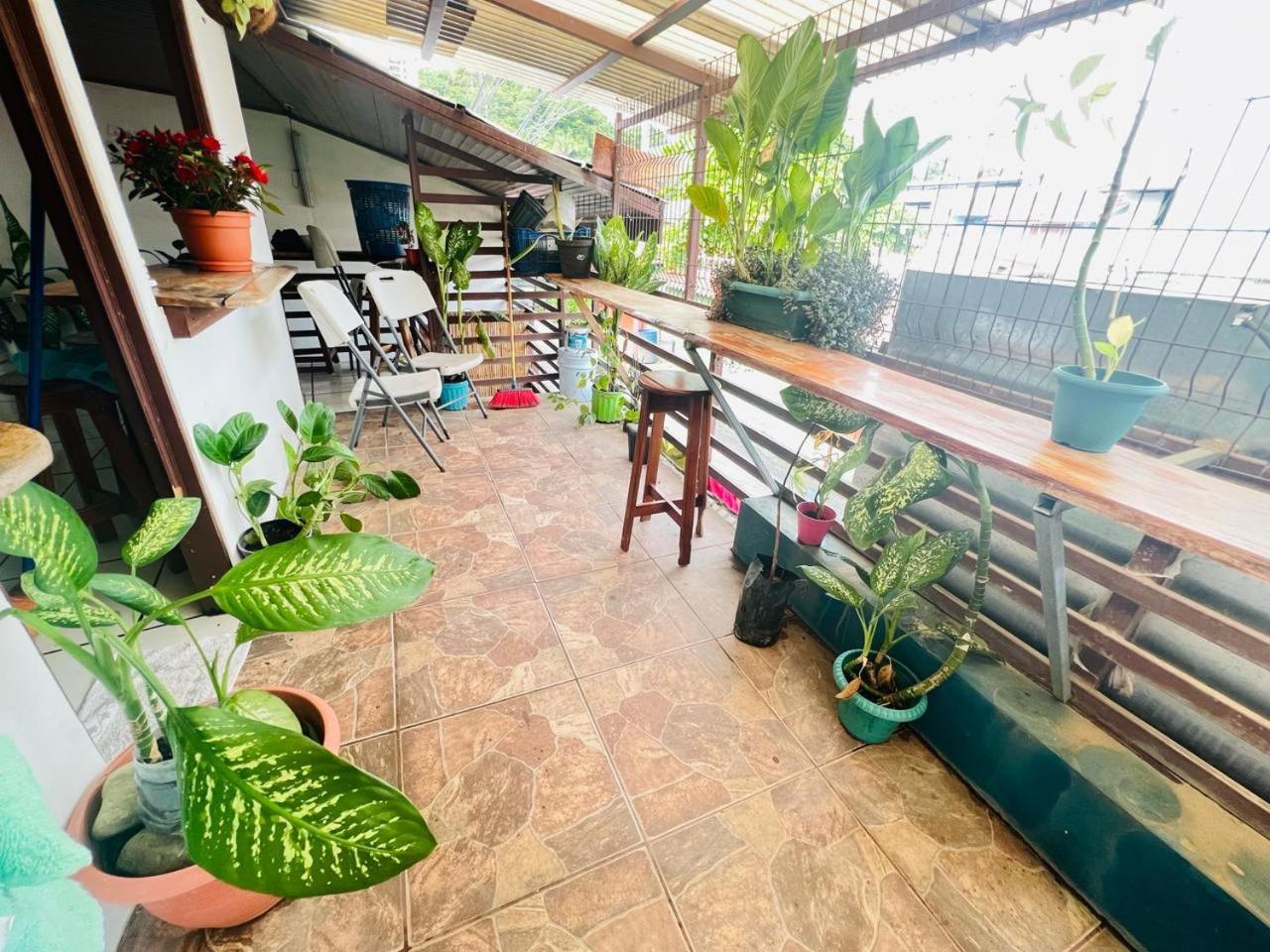 Cheap Hostel كيبوس المظهر الخارجي الصورة