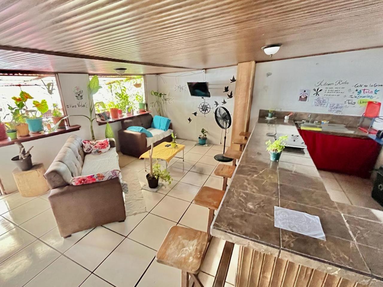 Cheap Hostel كيبوس المظهر الخارجي الصورة