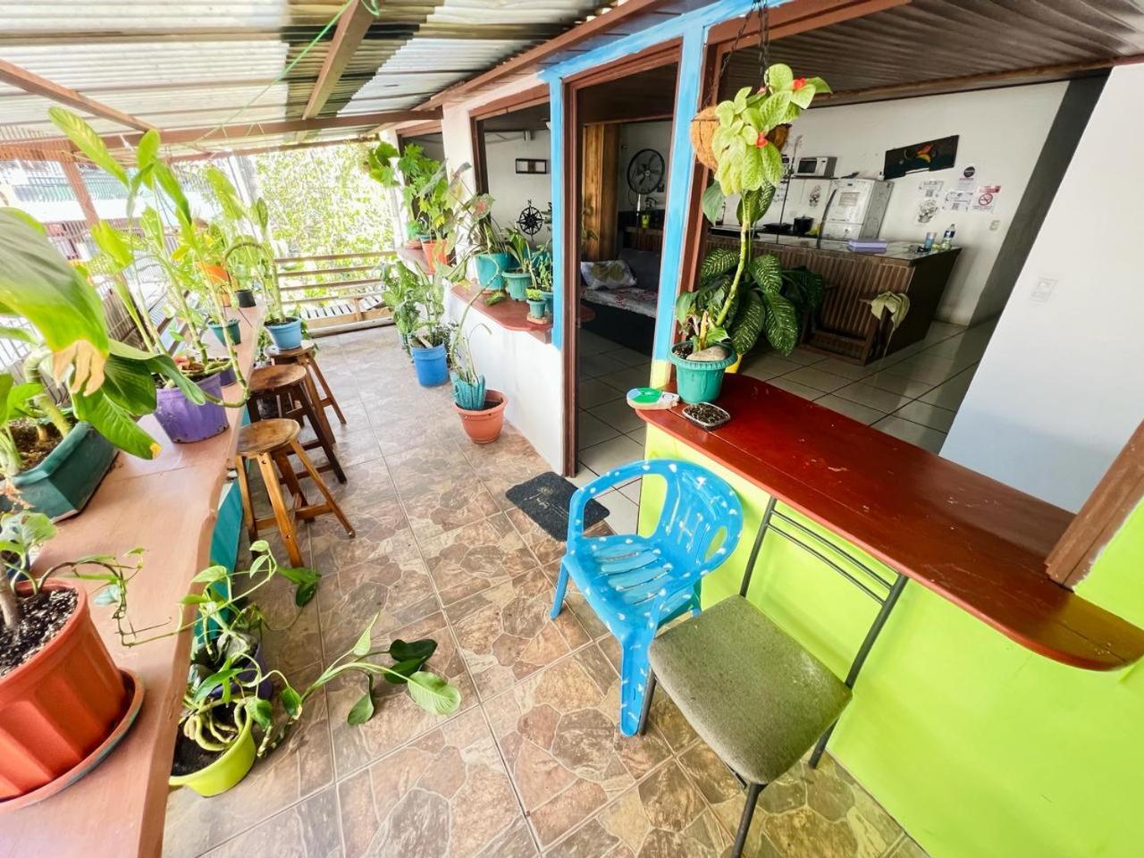 Cheap Hostel كيبوس المظهر الخارجي الصورة