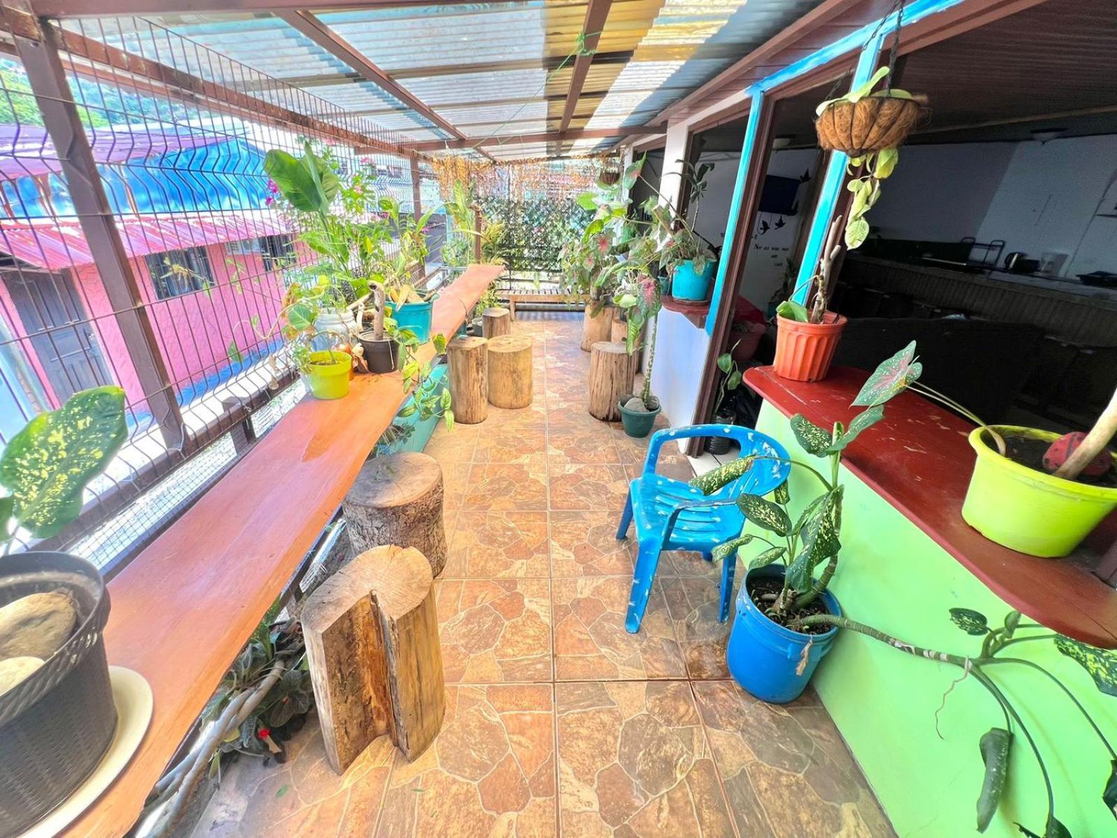 Cheap Hostel كيبوس المظهر الخارجي الصورة