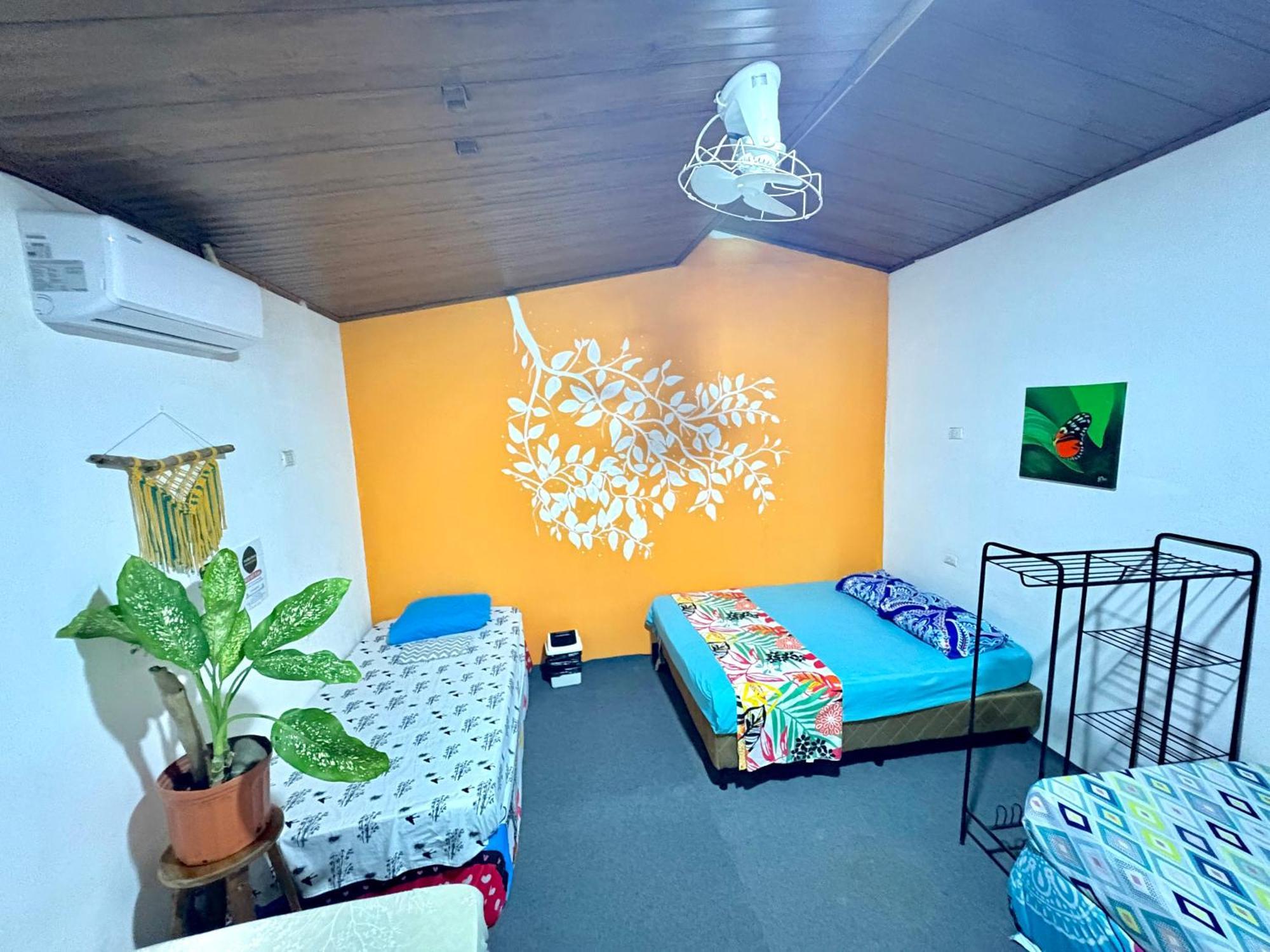 Cheap Hostel كيبوس المظهر الخارجي الصورة