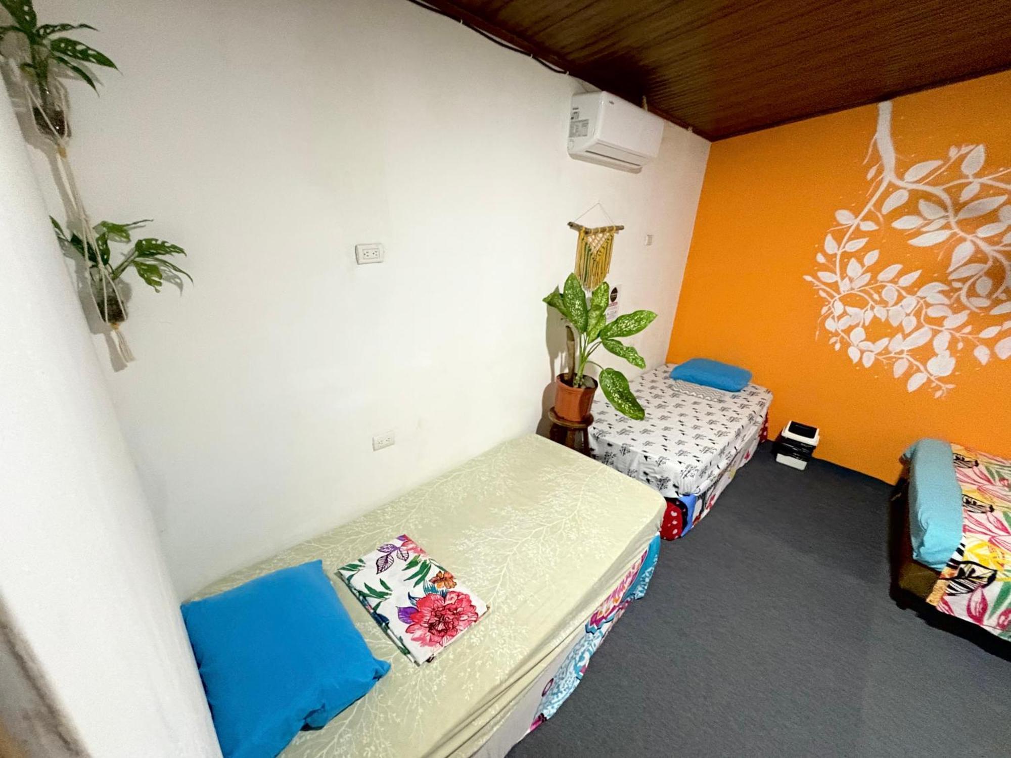 Cheap Hostel كيبوس المظهر الخارجي الصورة