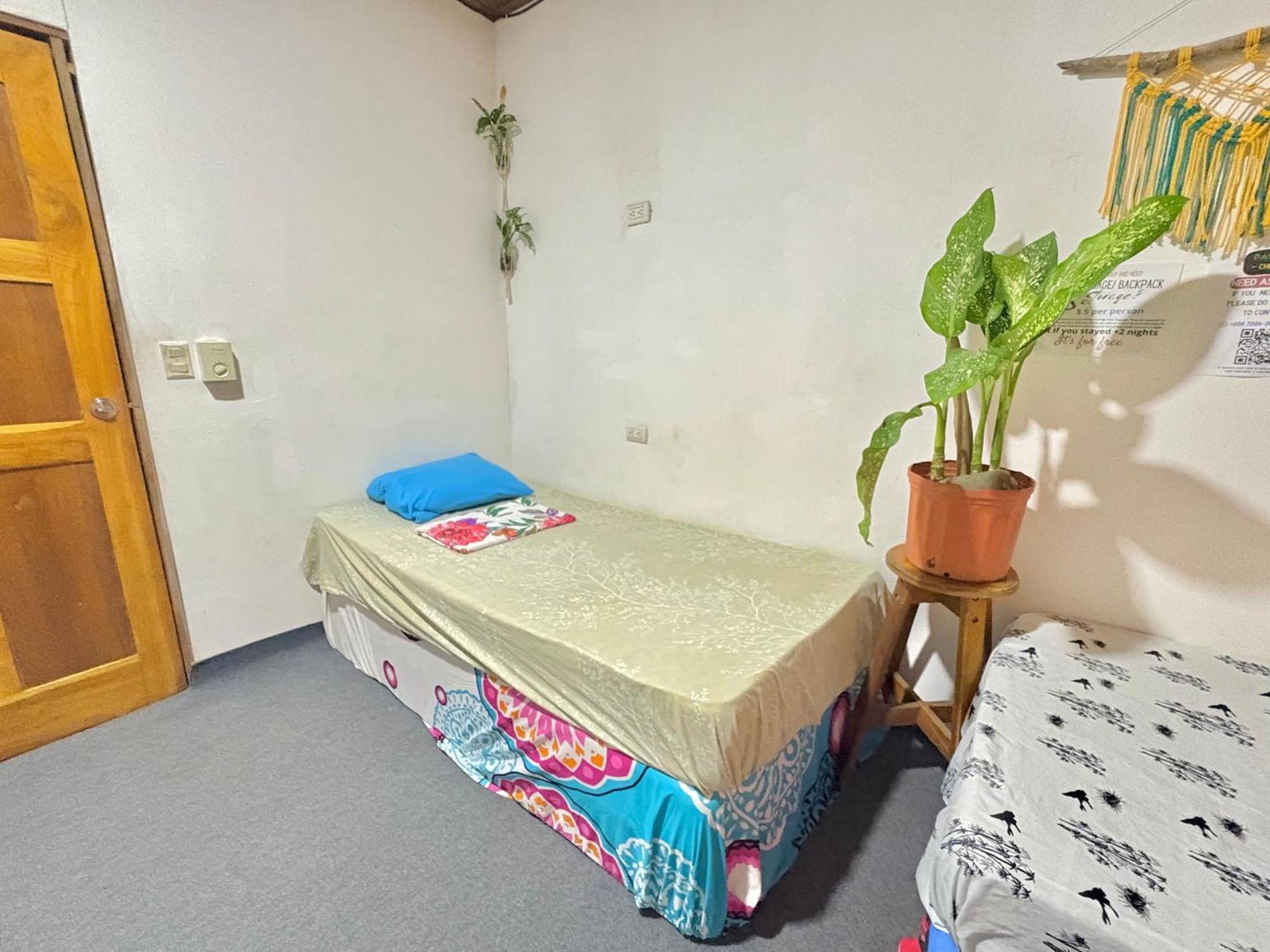 Cheap Hostel كيبوس المظهر الخارجي الصورة