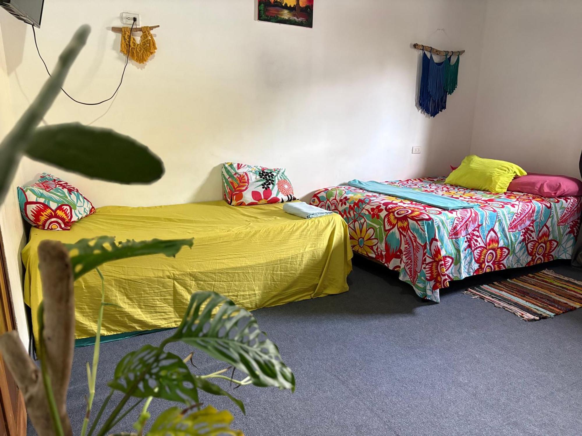 Cheap Hostel كيبوس المظهر الخارجي الصورة